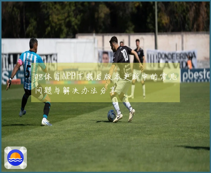 ng体育APP下载后版本更新中的常见问题与解决办法分享