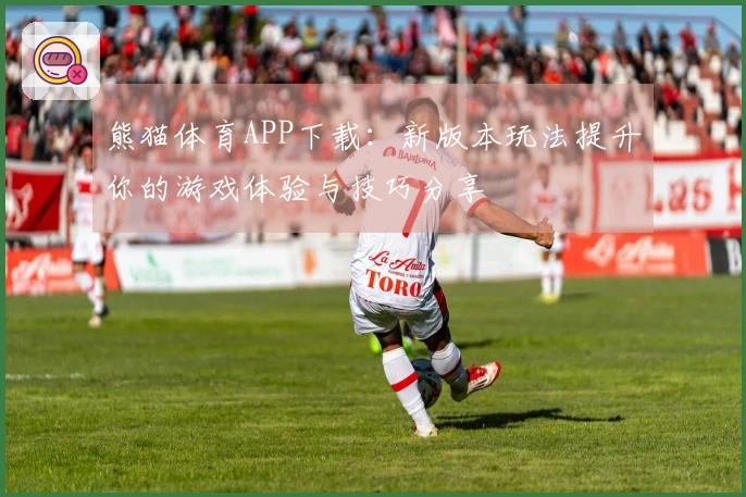 熊猫体育APP下载：新版本玩法提升你的游戏体验与技巧分享